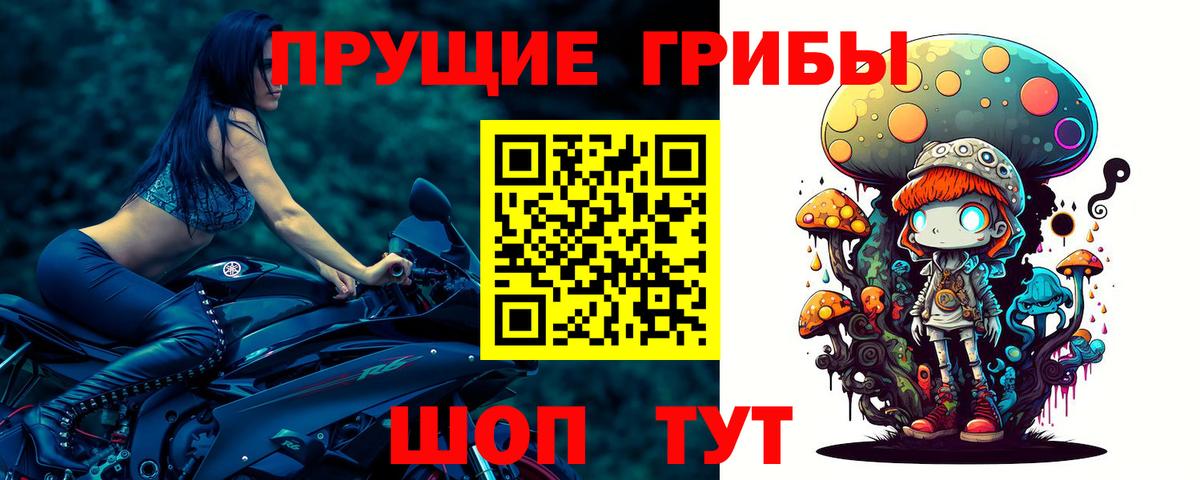 Псилоцибиновые грибы мицелий Ишимбай