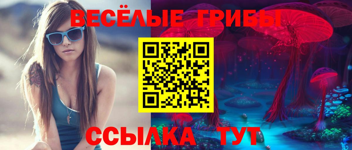 Галлюциногенные грибы прущие грибы  Вход с VPN  Псилоцибиновые грибы мицелий  Ишимбай 